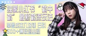 最新小红书截流玩法 独家截中截 单号成本几块钱 日引500+CY粉JZ粉-学习资源库