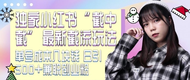 最新小红书截流玩法 独家截中截 单号成本几块钱 日引500+CY粉JZ粉-学习资源库