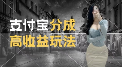 支付宝分成计划新玩法，利用交通事故视频，赚收益，轻松月入过W，操作简单【揭秘】-学习资源库