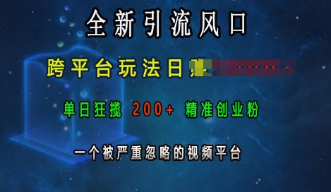 全新引流风口，跨平台玩法日入上k，单日狂揽200+精准创业粉，一个被严重忽略的视频平台-学习资源库