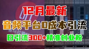 12月最新:音频平台0成本引流,日引流300+精准创业粉-学习资源库