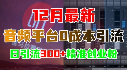 12月最新：音频平台0成本引流，日引流300+精准创业粉-学习资源库