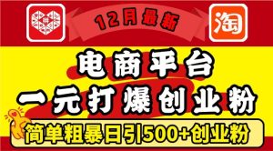 12月最新:电商平台1元打爆创业粉,简单粗暴日引500+精准创业粉,轻松月入过W【揭秘】-学习资源库