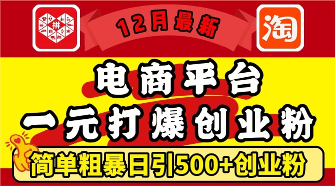 12月最新：电商平台1元打爆创业粉，简单粗暴日引500+精准创业粉，轻松月入过W【揭秘】-学习资源库