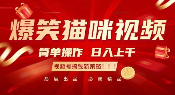 爆笑猫咪视频：简单操作，日入过K，视频号搞钱新策略【揭秘】-学习资源库