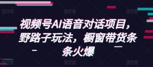 视频号AI语音对话项目,野路子玩法,橱窗带货条条火爆-学习资源库