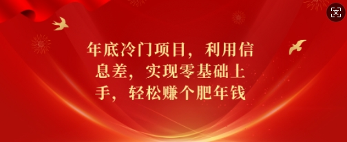 年底冷门项目，利用信息差，实现零基础上手，轻松赚个肥年钱【揭秘】-学习资源库