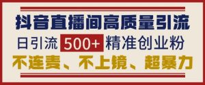 抖音直播间引流创业粉,无需连麦、不用上镜、超暴力,日引流500+高质量精准创业粉-学习资源库