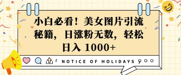 小白必看，美女图片引流秘籍，日涨粉无数，轻松日入几张【揭秘】-学习资源库