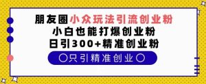 朋友圈小众玩法引流创业粉,小白也能打爆创业粉,日引300+精准创业粉【揭秘】-学习资源库