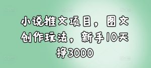 小说推文项目,图文创作玩法,新手10天挣3000-学习资源库