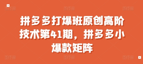拼多多打爆班原创高阶技术第41期，拼多多小爆款矩阵-学习资源库