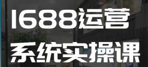 1688高阶运营系统实操课,快速掌握1688店铺运营的核心玩法-学习资源库
