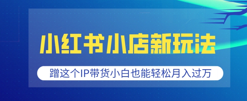 小红书小店新玩法，蹭这个IP带货，小白也能轻松月入过W【揭秘】-学习资源库