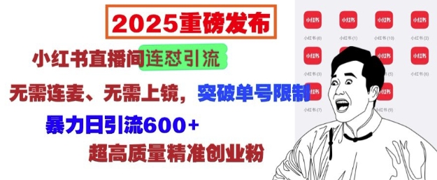 2025重磅发布：小红书直播间连怼引流，无需连麦、无需上镜，突破单号限制，暴力日引流600+-学习资源库