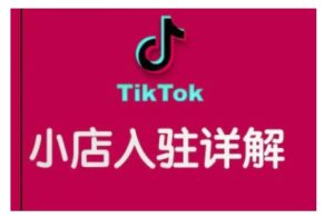TikTok跨境小店运营全攻略,帮助你独立运营TK跨境小店的能力,实现销量增长-学习资源库