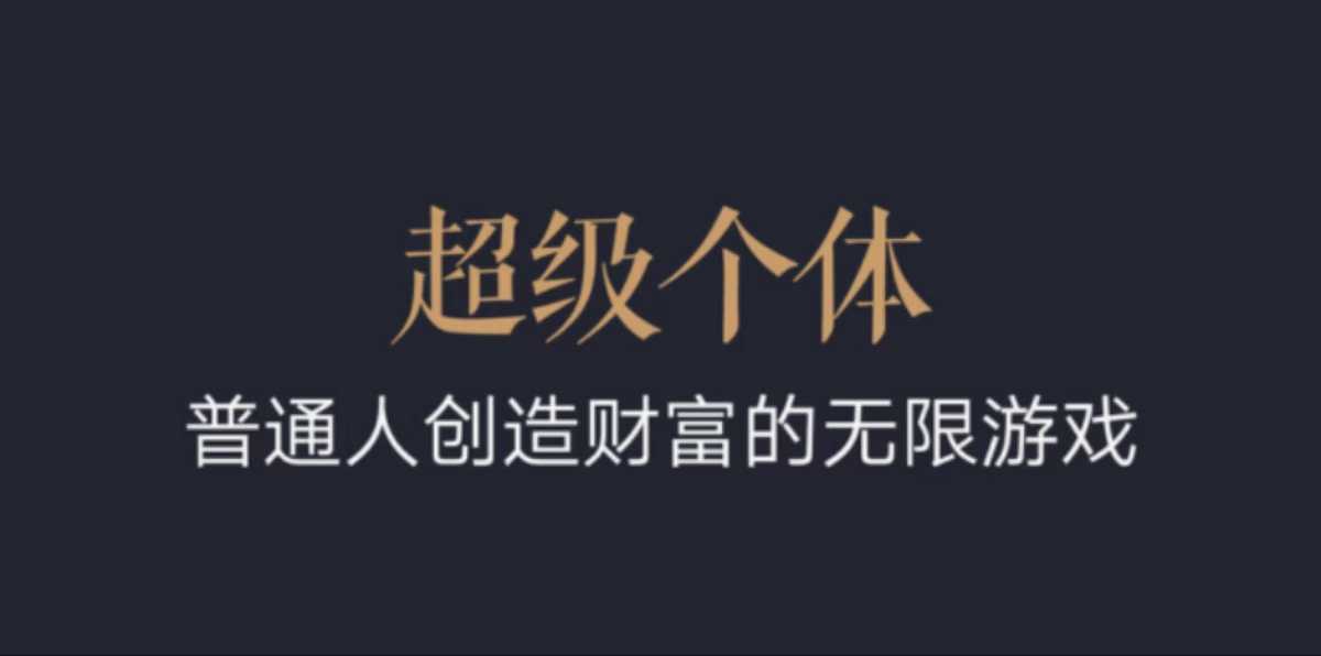 超级个体：2024-2025翻盘指南，普通人创造财富的无限游戏-学习资源库