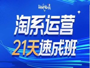 淘系运营21天速成班35期，年前最后一波和2025方向-学习资源库