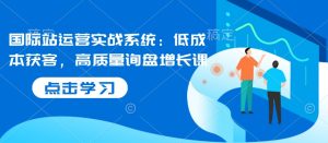 国际站运营实战系统:低成本获客,高质量询盘增长课-学习资源库
