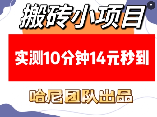 搬砖小项目，实测10分钟14元秒到，每天稳定几张(赠送必看稳定)-学习资源库