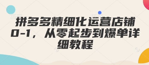 拼多多精细化运营店铺0-1，从零起步到爆单详细教程-学习资源库