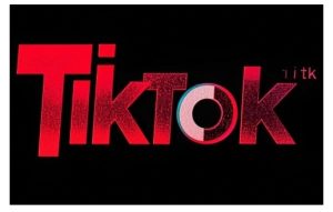 TikTok ads投流秘籍,涵盖tiktok整体投放思路,教你搭建测试计划-学习资源库