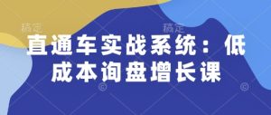 直通车实战系统:低成本询盘增长课,让个人通过技能实现升职加薪,让企业低成本获客,订单源源不断-学习资源库