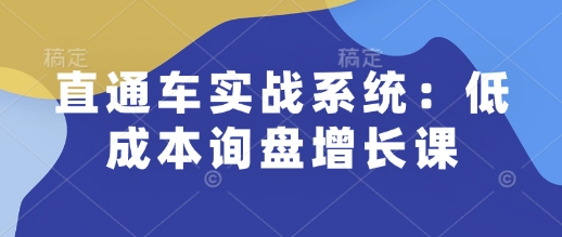 直通车实战系统：低成本询盘增长课，让个人通过技能实现升职加薪，让企业低成本获客，订单源源不断-学习资源库