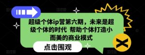 超级个体ip营第六期,未来是超级个体的时代  帮助个体打造小而美的商业模式-学习资源库
