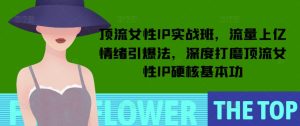 顶流女性IP实战班,流量上亿情绪引爆法,深度打磨顶流女性IP硬核基本功-学习资源库
