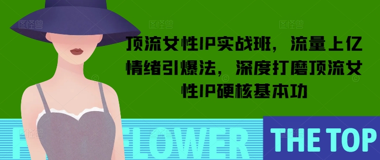 顶流女性IP实战班，流量上亿情绪引爆法，深度打磨顶流女性IP硬核基本功-学习资源库
