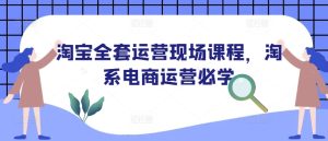 淘宝全套运营现场课程,淘系电商运营必学-学习资源库